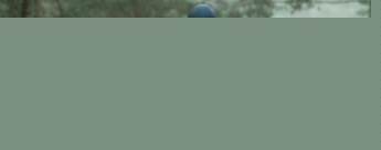 Nueva galer�a del Capit�n Am�rica