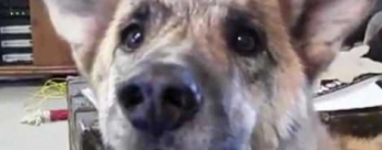 Pel�cula basada en un v�deo de YouTube