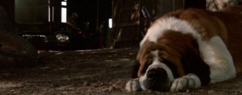 Nuevas e inquietantes noticias sobre el remake de Cujo