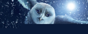 Ga'Hoole, la leyenda de los guardianes