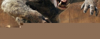 Espectacular primera imagen de 'John Carter'