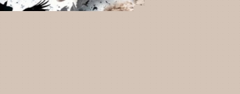 Cartel final de 'Blancanieves y la leyenda del cazador'