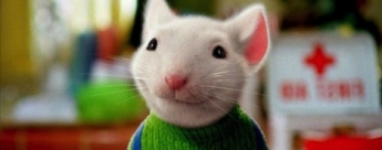 Stuart Little tambi�n tendr� su remake