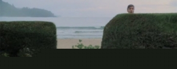 Tr�iler de The Descendants