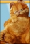 Imagen de Garfield, la pelcula