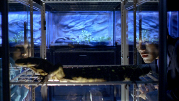 la diosa del asfalto