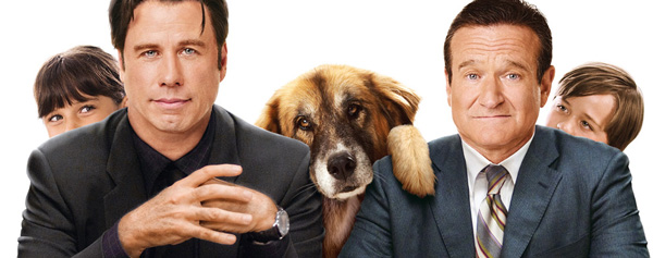 Dos canguros muy maduros