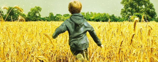 Luci�rnagas en el jard�n