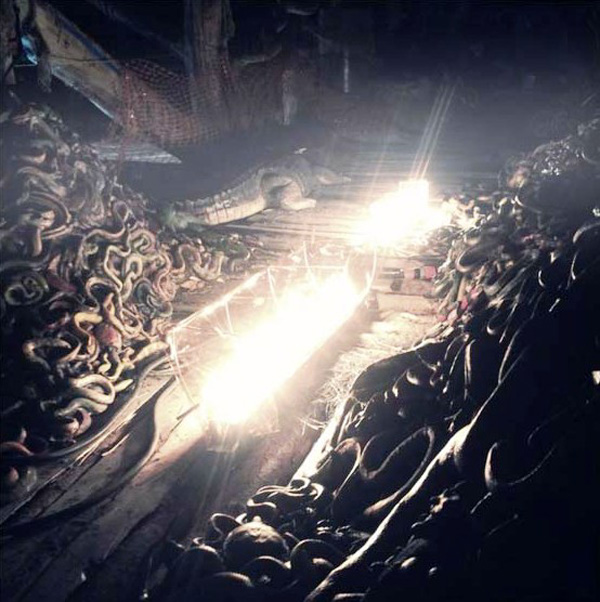 Imagen de Nueva imagen de 'Noah'