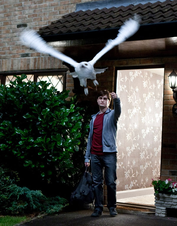 Imagen de Harry Potter y las reliquias de la muerte