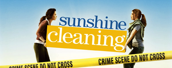 sunshine cleaning