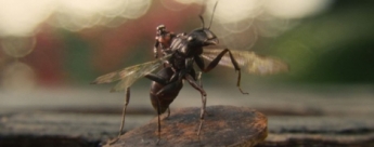 Así se hicieron las escenas a tamaño hormiga de Ant-Man