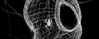 Marvel Premiere  El Asombroso Spiderman #13: Restos Mortales, Segunda Parte