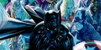 Pantera Negra #1: La Larga Sombra