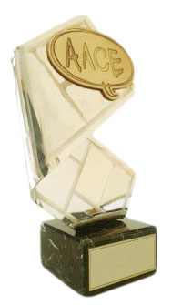 La AACE concede sus premios 2012