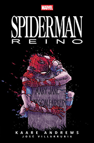Spiderman: Reino #1