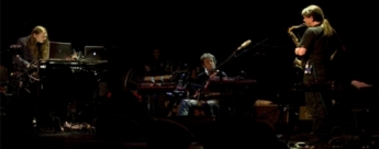 Lou Reed cancela su concierto en la capital espaola  
