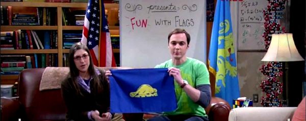 Sheldon Cooper nos ha enseado que se puede tener diversin con banderas.